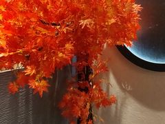 -先机®·泉水鸡汤(七星岗店)