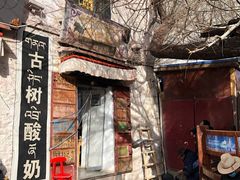 -古树酸奶(八廓南街店)
