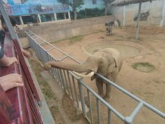 -西霞口神雕山野生动物世界