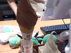 -野人先生Gelato(上海长宁龙之梦店)