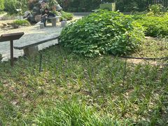 -马王堆汉墓遗址