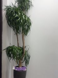 -海涛医疗美容·抗衰中心