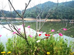-龙川湾千岛湖国际垂钓中心