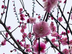 -重庆彩云湖湿地公园