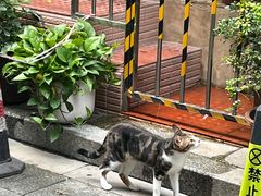 -阿姨牛杂(北京路店)