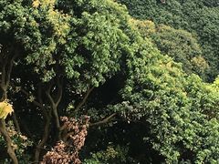 -茗荔园农庄(大涌店)