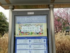 -四川广播电视台(世纪城路店)
