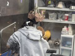 -芭比堂动物医院·心脏科·老年急重症·夜诊·吉雅分院