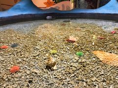 -绍兴梦享海洋公园