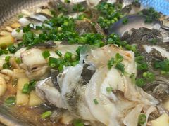 -富豪酒家(正大广场店)