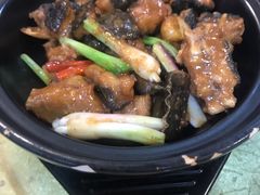 红烧娃娃鱼-汇景花园酒家(基立下道店)