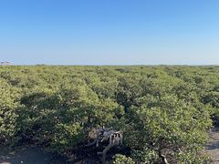 -北海金海湾红树林生态旅游区