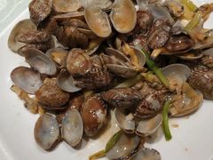 花蛤&nbsp;二十二元-海江5号