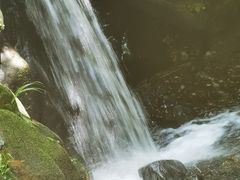 -清溪森林公园