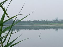 -绿堤公园