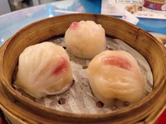 -憶廟街 X 沙角邨(太古城店)