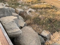 -小石岛景区