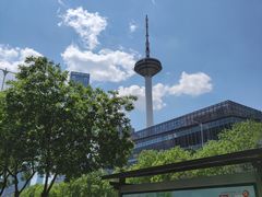 -辽宁电视塔