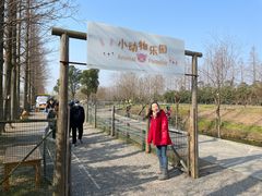 -上海长兴岛郊野公园