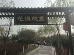 -西安汉城湖景区