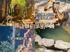 -长鹿旅游休博园