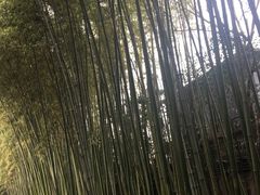 -上海市龙华烈士陵园