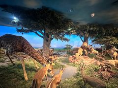 -国家自然博物馆