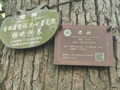 -普陀山风景名胜区-法雨禅寺