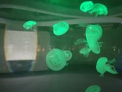 -常州海昌海洋探索馆