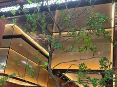 -大神太神·铁板烧(七宝领展广场店)
