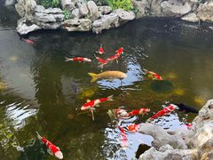 -鲤院·新中式美学·庭院餐厅(夫子庙店)
