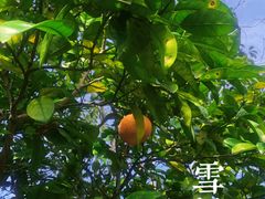 -桃花岛风景旅游区