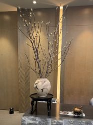 -VELEE·SPA高定疗愈会所