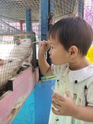 -萌宠亲子动物乐园(槐房万达店)