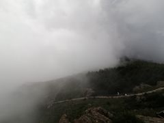 -白草畔自然风景区