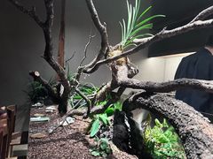 -曲廊院(东四十一条店)