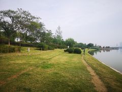 -灞河西岸滨河公园
