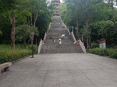 -红花山公园