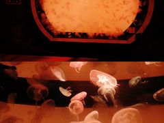 -沈阳海洋探索中心