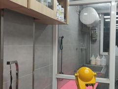 -宠福鑫康馨动物医院·骨科·眼科