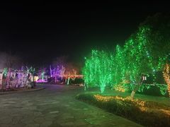 -梁鸿国家湿地公园