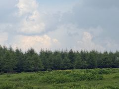 -红崖峡谷景区