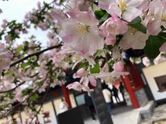 -恭王府博物馆