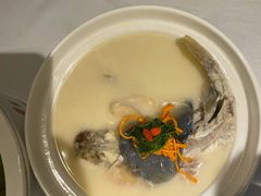 东坡河豚-肆月河豚·新淮扬(金融街店)