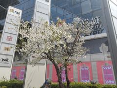 -上海静安大悦城