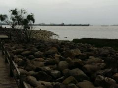 -吴淞炮台湾湿地森林公园烧烤区