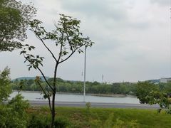 -羊山湖公园