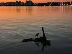 -云龙湖旅游景区