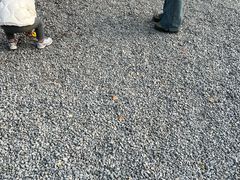 -汉长安城未央宫国家考古遗址公园