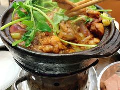 鸡鸡蛙蛙中煲-川香煲(茅台路店)